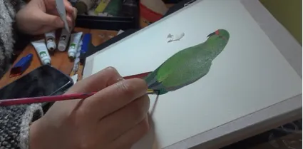 Pintando ave en acrílico