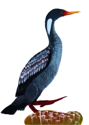 Ilustración de Lile
