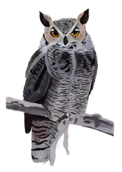 Ilustración de Tucúquere